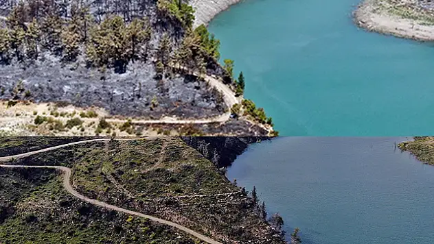 Cumhuriyet tarihinin en büyük yangından sonra griden yeşile dönüş