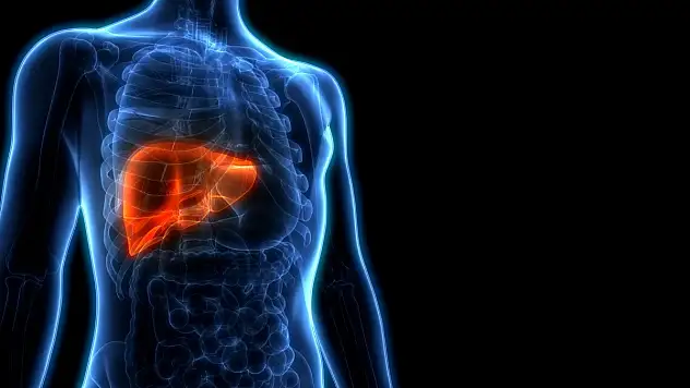 Ramazanda arınan karaciğerinizi bayramda yeniden kirletmeyin