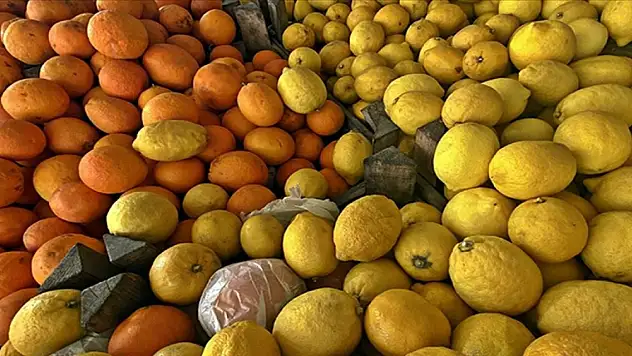 Narenciye ihracatında yılın ilk çeyreğini mandalina ve limon sırtladı