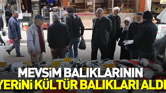 Mevsim balıklarının yerini kültür balıkları aldı