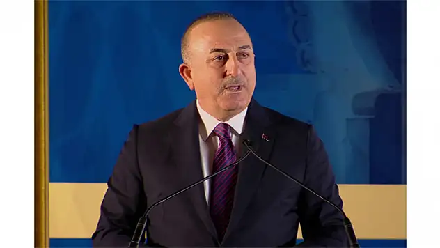 Bakan Çavuşoğlu: 'Yüce Türk Milleti'ne tarih dersi vermek kimsenin haddi değildir'