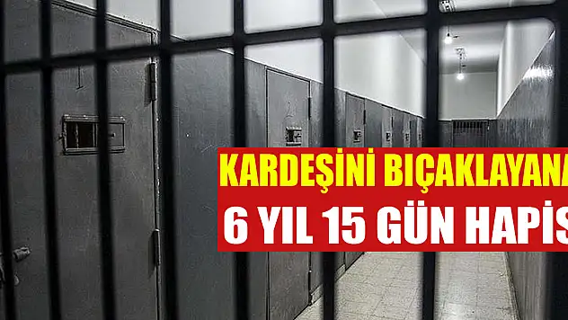 Kardeşini bıçaklayana 6 yıl 15 gün hapis