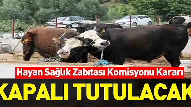Samsun Hayvan Sağlık Zabıtası Komisyonu kararı: Hayvan pazarı satış yerleri kapalı tutulacak