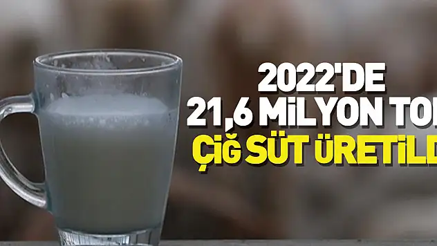 Türkiye'de 2022'de 21,6 milyon ton çiğ süt üretildi