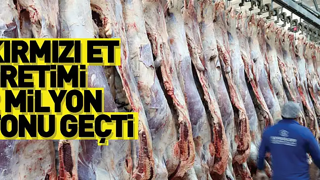 Kırmızı et üretimi 2022'de yıllık yüzde 12,3 artışla ilk kez 2 milyon tonu geçti