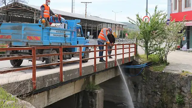 Tüm ilçeyi haşereye karşı ilaçladılar