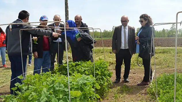 19 Mayıs'ta tarımsal üreticilere yönelik teknik gezi düzenlendi