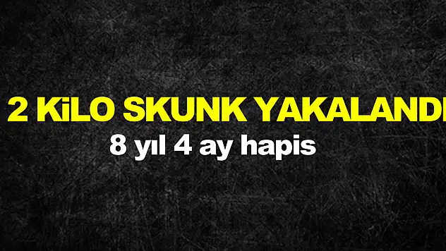 Samsun'da 2 kilo 589 gram skunk ile yakalanan 1 kişiye 8 yıl 4 ay hapis