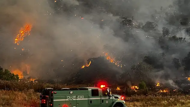 ABD'de orman yangını