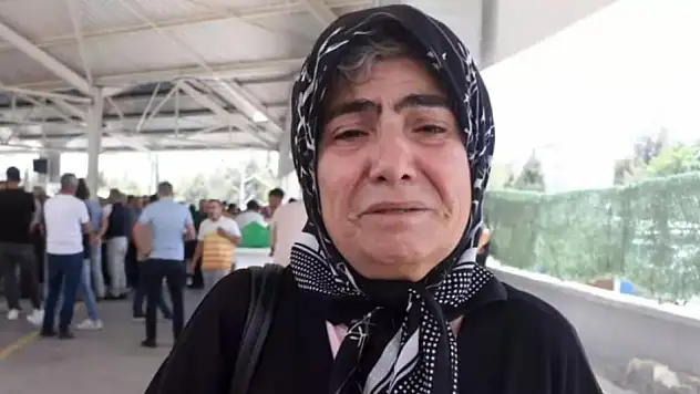 Acılı anne, kızından geriye kalan 2 kediye kavuştu