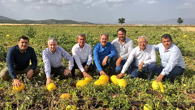 Acıpayam Kavunu coğrafi işaretle tescillendi