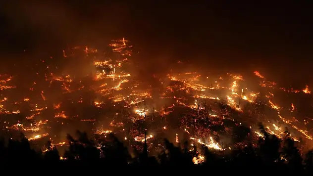 AFAD Alarm Verdi: Türkiye Genelinde Orman Yangınlarına Müdahale – Bursa'dan Acı Haber!