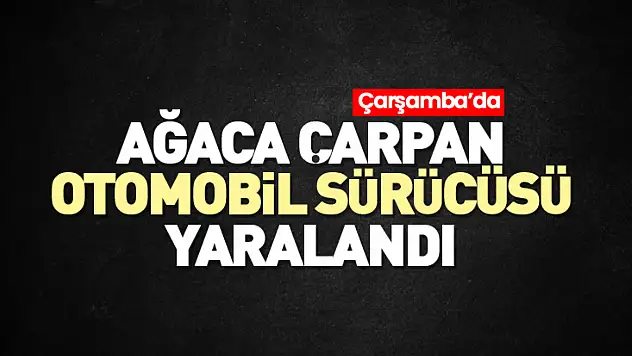 Ağaca çarpan sürücüsü yaralandı