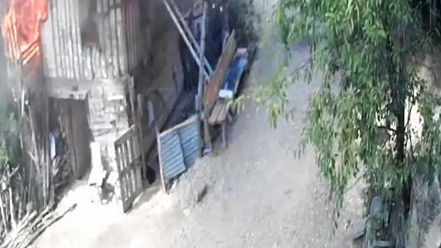 Ahşap ev yangını ormana sıçradı