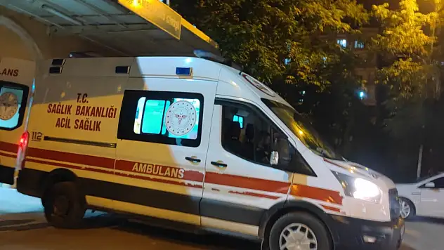 Akraba kavgası kanlı bitti: 2 ölü