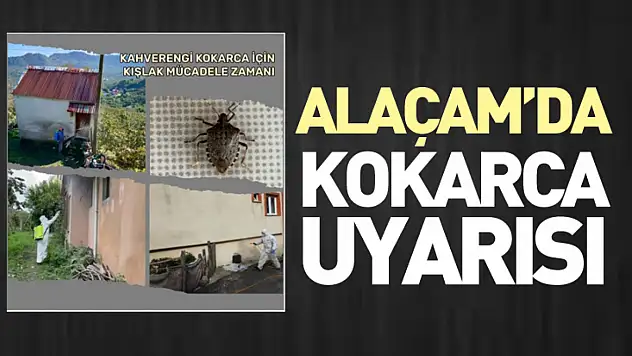 Alaçam'da kokarca uyarısı