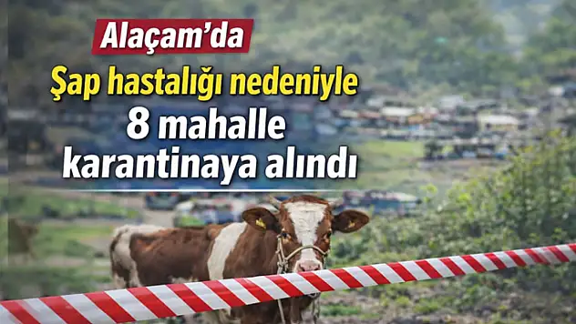 Alaçam'da şap alarmı