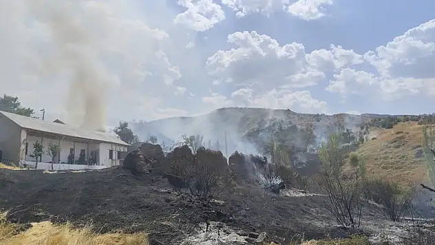 Alevler ormana sıçramadan kontrol altına alındı