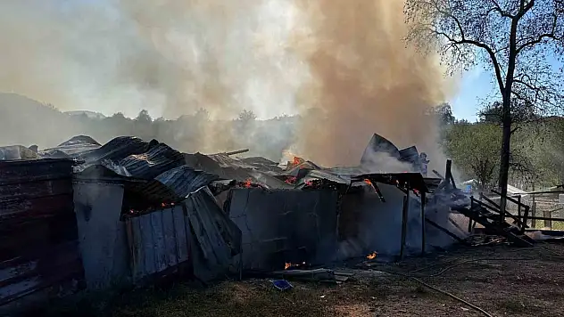 Alevlere teslim olan samanlık kullanılamaz hale geldi