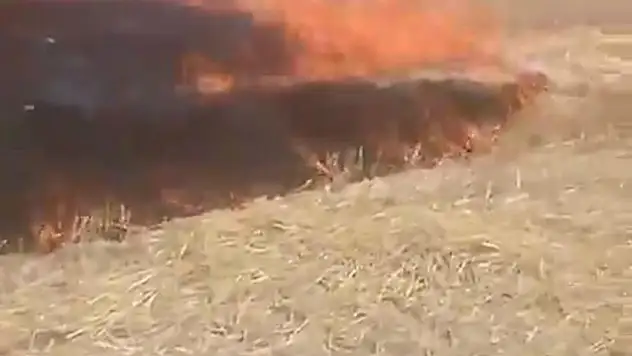 Ankara'da anız yangını