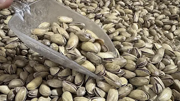 Antep fıstığı ihracatı yüzde 17 arttı