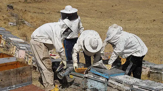 Arıcılar gün sayıyor