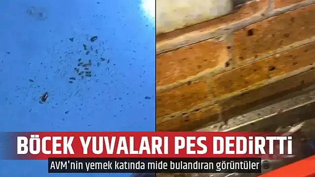 AVM restoranlarında mide bulandıran görüntüler
