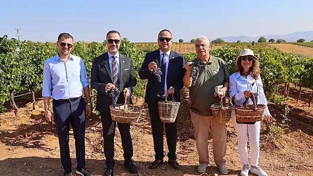 Avrupa ve Türkiye'nin ortak mirası Çal'da sergilendi