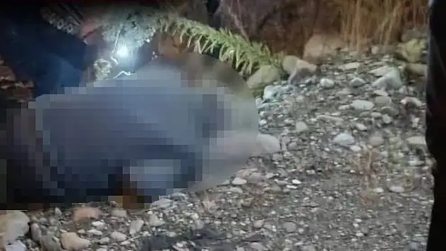 Ayancık Panayırı'nda bir kişi hayatını kaybetti