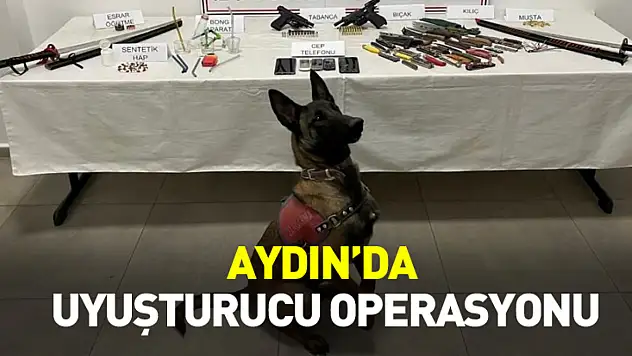 Aydın'da uyuşturucu operasyonu