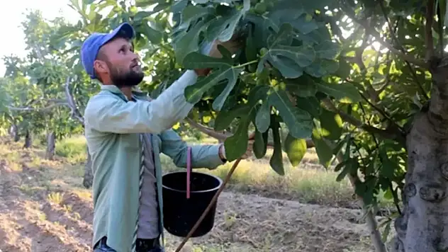 Aylık 90 bin TL maaşla işçi aranıyor