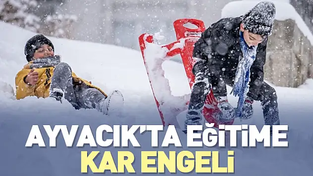 Ayvacık'ta Kar Nedeniyle Bazı Okullarda Eğitime Ara