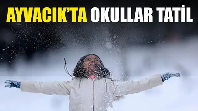 Ayvacık'ta okullar tatil