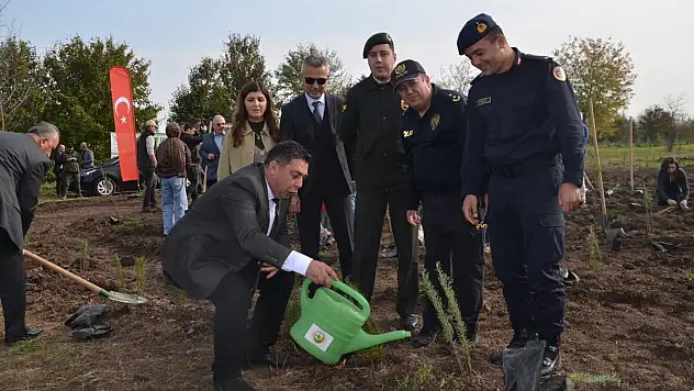 Bafra'da fidan seferberliği