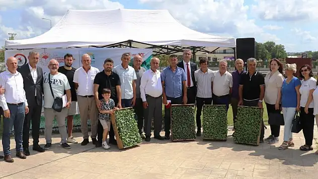 Bafra Ovası'nda ihracata uygun sebze üretilecek