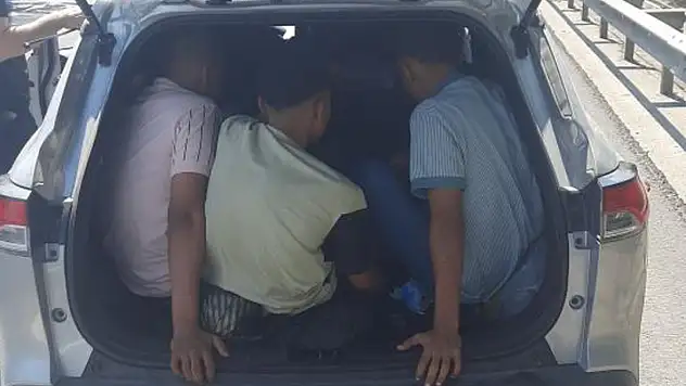 Bagajdan düzensiz göçmen çıktı