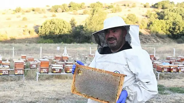 Bal hasadı başladı