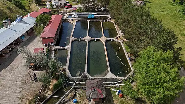 Balıklar dünyaya pazarlanıyor