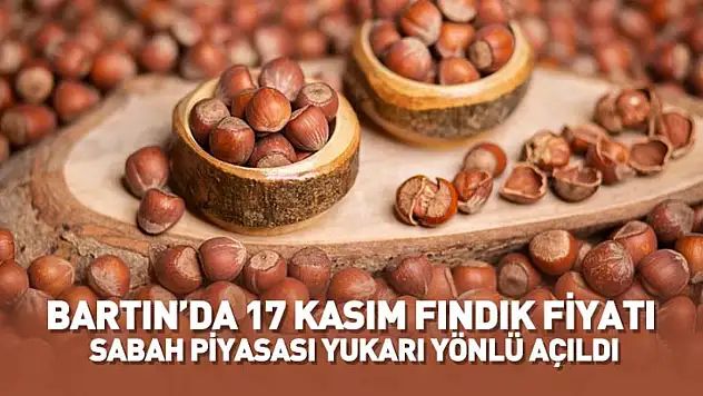 Bartın'da 17 Kasım Fındık Fiyatı Açıklandı: Sabah Piyasası Yukarı Yönlü Açıldı