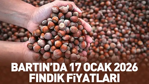 Bartın'da 17 Ocak 2026 Fındık Fiyatları: Batı Karadeniz'de fiyatlar dengeli seyrediyor