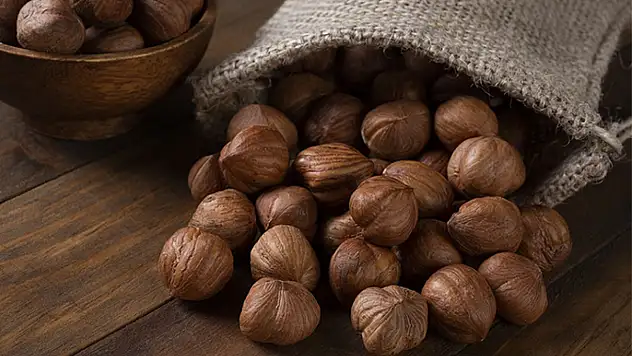 Bartın'da 22 Kasım 2025 Fındık Fiyatları