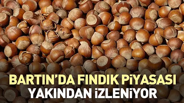 Bartın'da 25 Ocak 2026 Fındık Piyasası Yakından İzleniyor
