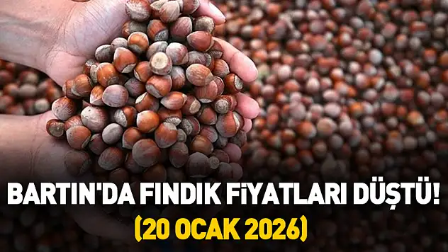 Bartın'da Fındık Fiyatları Düştü! (20 Ocak 2026)