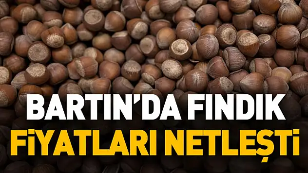 Bartın'da Fındık Fiyatları Netleşti