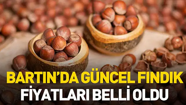 Bartın'da Güncel Fındık Fiyatları Belli Oldu