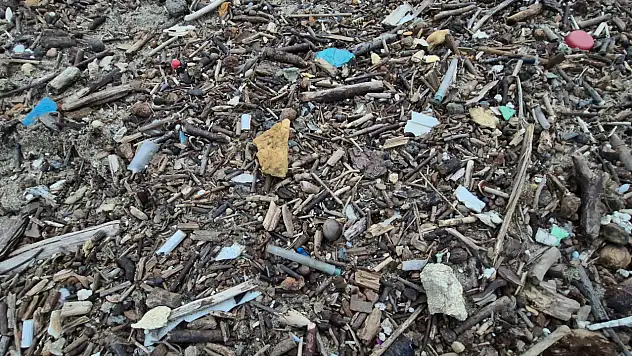 Bartın'da Sahile Vuran Tıbbi Atıklar Korkuttu