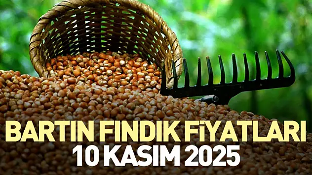 Bartın Fındık Fiyatları 10 Kasım 2025