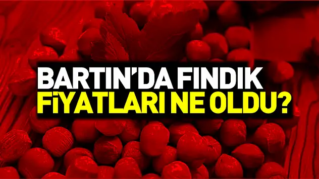 Bartın Fındık Fiyatları 11 Kasım 2025