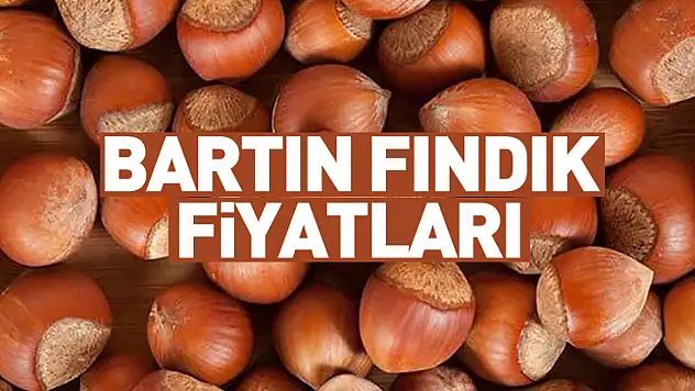 Bartın fındık piyasası 2025 sonunda kilitlendi: Üretici 2026'yı bekliyor