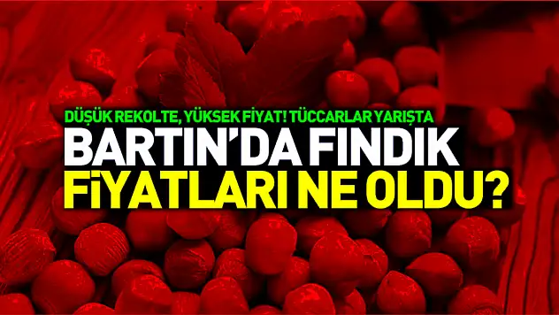Bartın fındık fiyatları 7 Kasım 2025: Düşük rekolte, yüksek fiyat! Tüccarlar yarışta